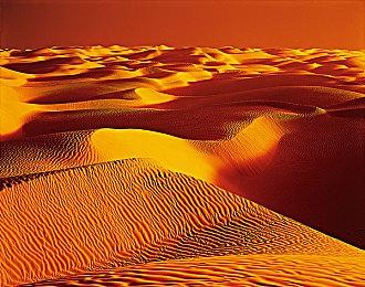 言论行为不当！ 《鸣潮》更换争议配音演员